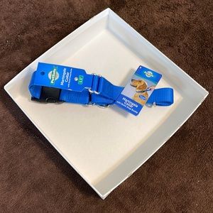 Martingale Collar with Quick Snap Buckle